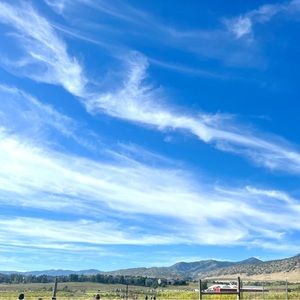 Meet your Posher, Anne